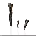Anatomical Spinal Vertebrae Models in Different Sizes and Structures