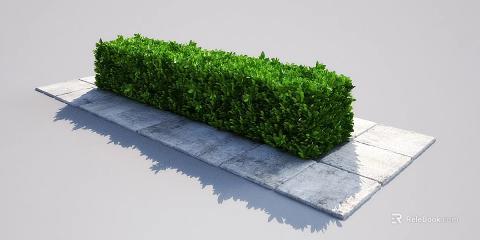 Neatly Trimmed Green Hedge In Outdoor Garden Landscape With Stone Pavement 3d model 