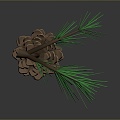 pine cone plant 3d model