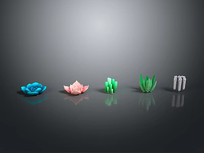 Colorful Decorative Plants In Blue Pink Green White Arranged On Black Background With Reflection 3d model