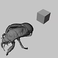Closeup View Of Cicada Exuvia And Colorful Rubik's Cube On Gray Background