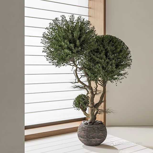 Bonsai Tree Decorative Indoor Plant With Shaped Foliage And Ceramic Planter Near Window 3d model 