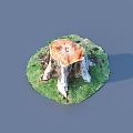 Natural Tree Stump With Circular Cross Section Growth Rings And Green Grass