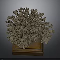 Intricate Handcrafted Coral Shaped Sculpture Carving Display On Wooden Base