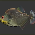 Vibrant Spotted Tropical Fish with Red Eyes Shiny Scales and Colorful Fins on Gray Background