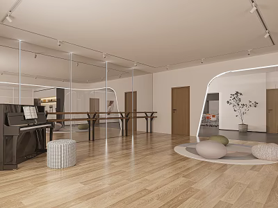 Spacious Modern Interior With Wooden Flooring Piano Mirrors Round Rug And Decorative Plant 3d model