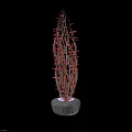 Red Slender Cactus like Plant With Long Stems And White Illuminated Base For Indoor Decor