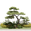 Artistic Garden Ornament Featuring Pine Tree Various Plants Shrubs Stones And Yellow Flowers