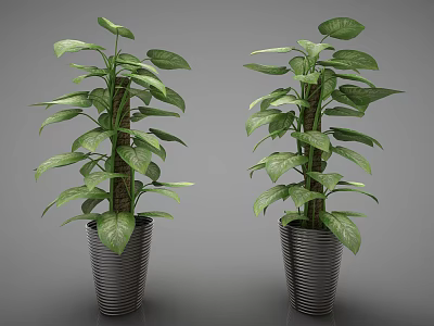 Lush Green Bonsai Potted Plants In Metallic Pots For Indoor Decoration 3d model