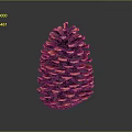 Natural Reddish Brown Pine Cone as Decorative Household Item with Distinct Scales on Dark Background