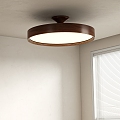 Modern Middle Aged Ceiling Lamp 3d model