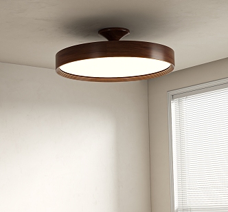 Modern Middle Aged Ceiling Lamp 3d model