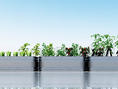 modern vegetable crops 3d model