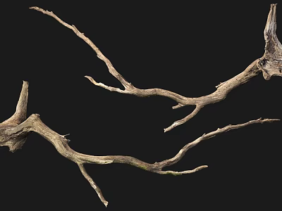Natural Stone and Wood Branches with Rustic Texture and Curved Shape 3d model