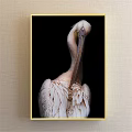 Pelican Animal Painting Detailed Portrait With White Feathers On Black Background