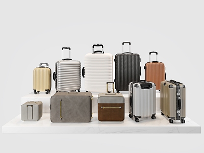 Modern Luggage Suitcase Trolley Case model