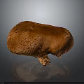 Brown Mushroom With Textured Surface And Short Stem On Gray Background Showing Clear Reflection 3d model