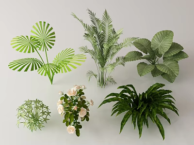 Variety of Bonsai Potted Plants With Green Leaves White Flowers and Different Types 3d model