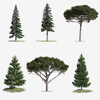 Diverse Arbor Tree Species with Lush Green Foliage and Natural Growth Forms 3d model