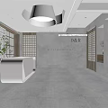 Modern Fitness Studio With Wooden Pilates Beds Mirror Walls And Natural Light