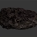 Natural Dried Date Fruit With Dark Wrinkled Surface And Organic Texture 3d model