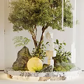 Elegant Indoor Landscape In Transparent Cylindrical Glass Container With Green Tree Ferns Rocks And Lighting