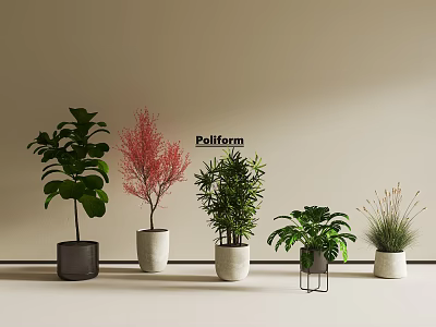 Indoor Bonsai Potted Plants With Green Red Foliage In Ceramic Metal Stand Pots For Decoration 3d model