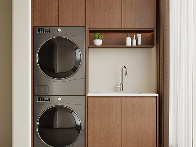 Modern Wooden Balcony Cabinet Design Featuring Washing Machines Sink Faucet And Potted Plant On Shelf 3d model