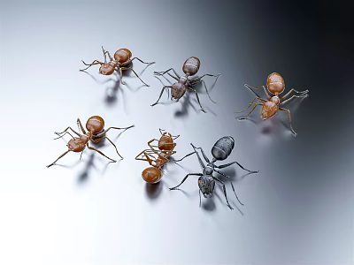 Small Brown And Gray Reptiles Crawling On Light Colored Background Surface 3d model