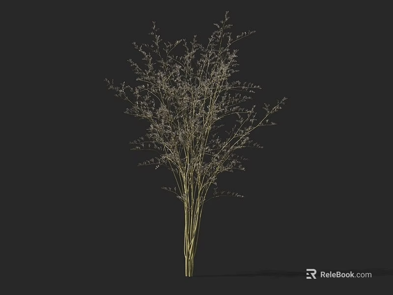 Dried Grass Bouquet with Slender Stems and Tiny Branches for Natural Decor Design 3d model