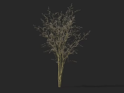 Dried Grass Bouquet with Slender Stems and Tiny Branches for Natural Decor Design 3d model