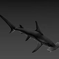 Hammerhead Shark Swimming Gracefully In Deep Ocean With Distinctive Head Shape 3d model
