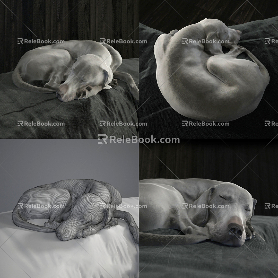 Modern Dog Pet Dog 3d model