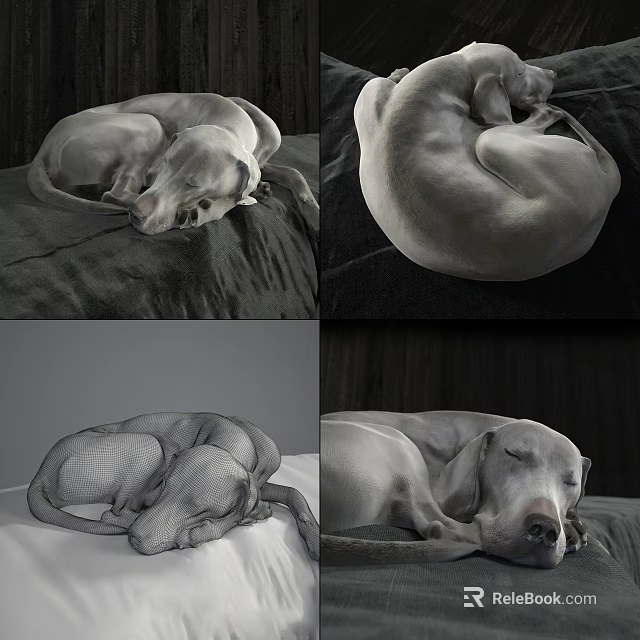 Curled Up Grey Reptile Sleeping On Dark Fabric Bed In Different Angles 3d model 