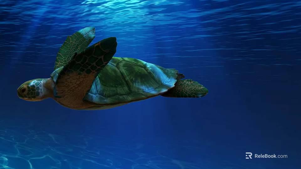Sea Turtle Swimming Gracefully In Clear Blue Ocean Water With Sunlight 3d model 