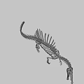 Spinosaurus Dinosaur Skeleton With Prominent Spine And Detailed Bone Structure