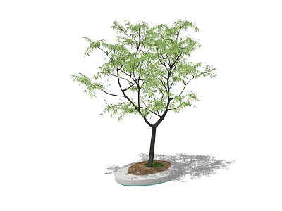Lush Green Arbor With Black Trunk Circular White Base Soil And Shadow 3d model