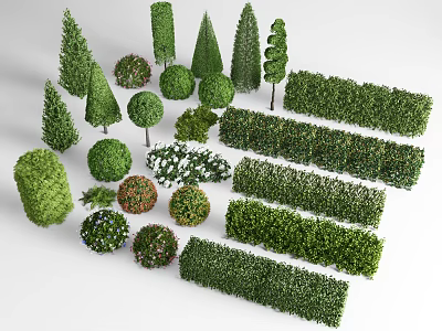 Various Shaped Garden Shrubs Spherical Conical Cylindrical Trimmed Hedge With Green Foliage And Red Flowers 3d model