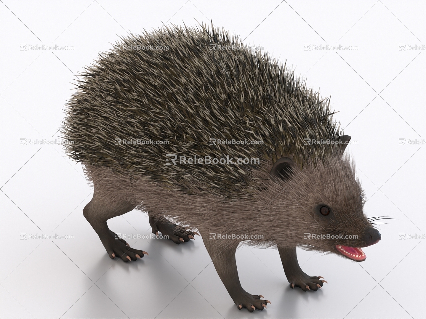 hedgehog animal 3d model