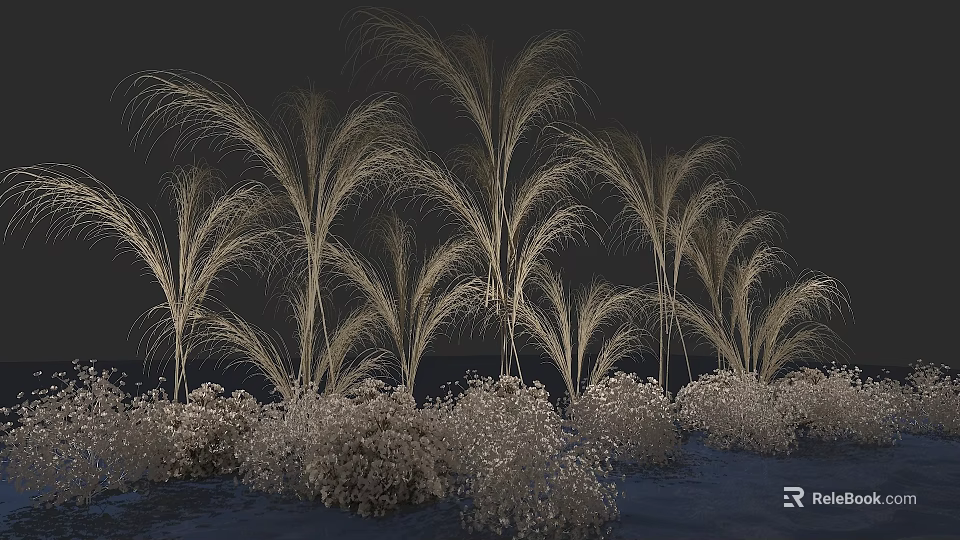 Light Colored Tall Feathery Grasses With Low Shrubs In Dark Background Landscape 3d model 