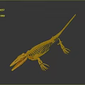 Detailed 3D Yellow Aquatic Dinosaur Skeleton Model With Long Tail And Fins