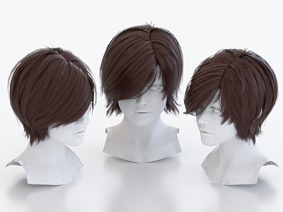 Hair Wig Hairstyle Long Hair Head 3d model