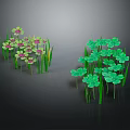 Two Plant Clusters with Left Pink Yellow Flowers and Right Green Clover Leaves Dark Background