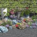 Various Succulent Potted Plants In Colorful Pots Arranged On Gravel Surface