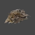 Natural Wild Bird Nest Constructed With Twigs Dry Grass And Small Debris