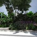 Lush Garden Landscape Design With Tall Trees Shrubs And Colorful Flowers