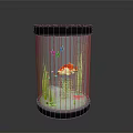 Beautiful Red Koi Fish Swimming in Glass Fish Tank with Green Aquatic Plants and Stones