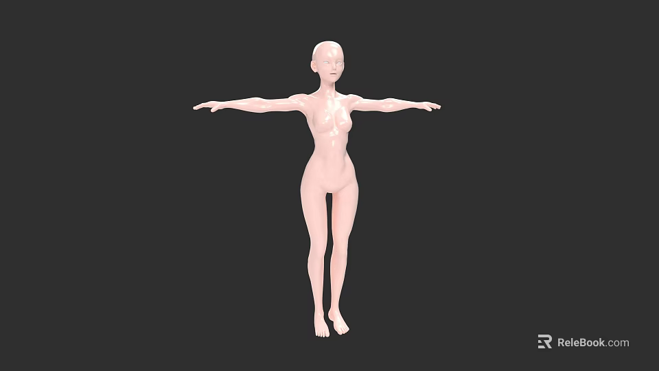 Human Abdominal Organs 3D Model Anatomical Structure Visualization for Medical Study 3d model