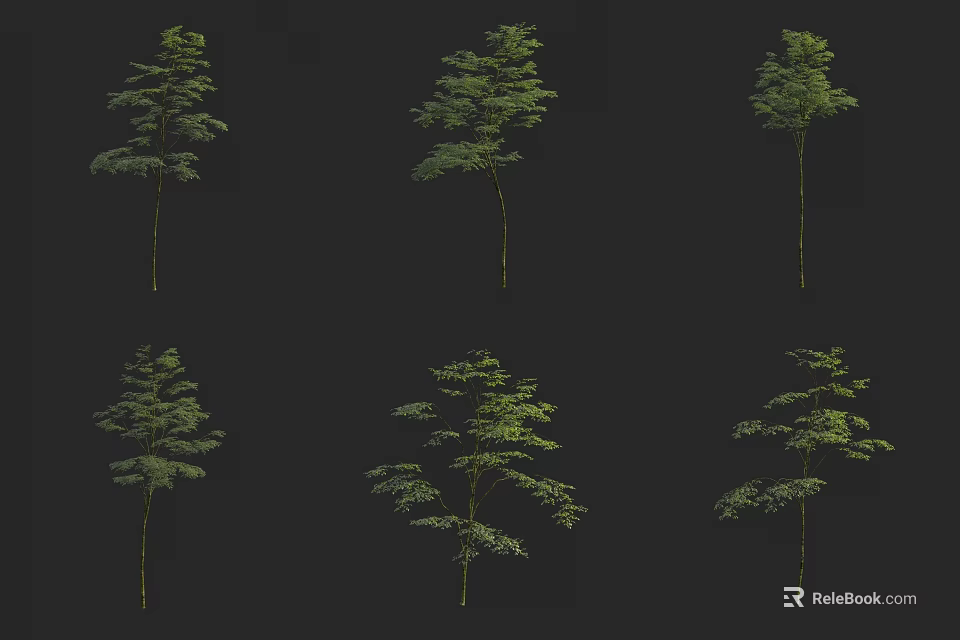Six Arbor Trees with Various Forms and Green Foliage on Black Background 3d model