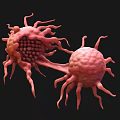 Biological Cells With Protruding Structures And Interconnected Features In 3D Rendering